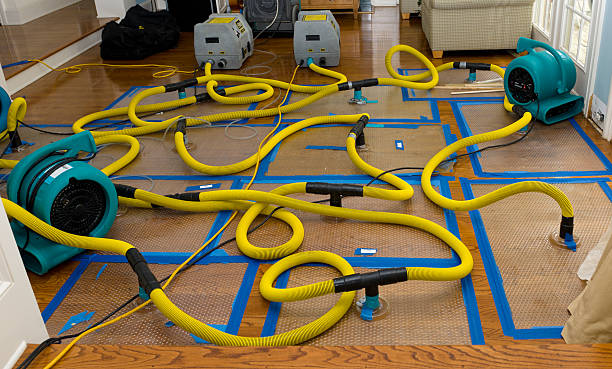 Professional Water Extraction technician working in Villa Grande, CA